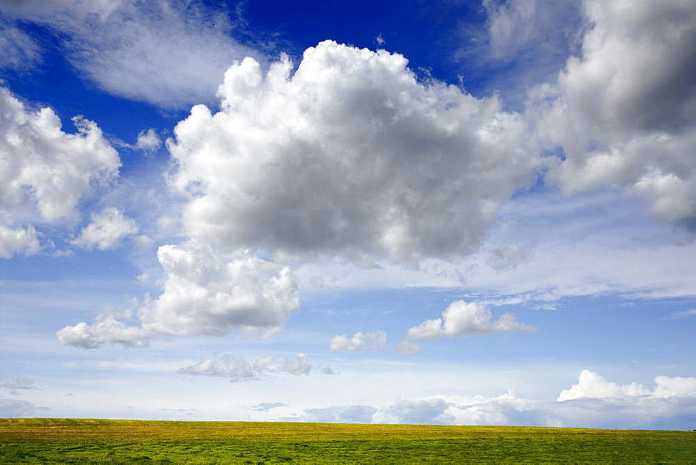 Summer Sky, Avondale, Nova Scotia