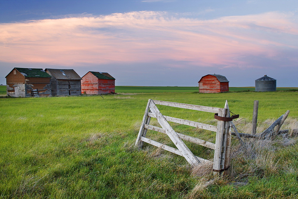 Old Abandoned Farm near Leader, Saskatchewan