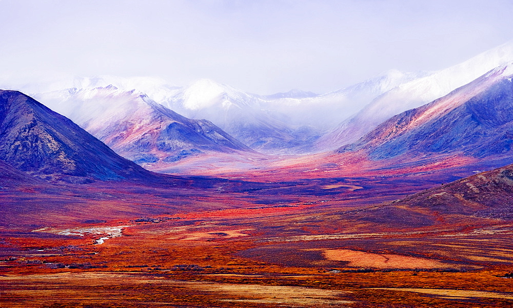 Tombstone Range and fall colours in Ogilvie Mountains along Dempster Highway, Tombstone Territorial Park, Yukon