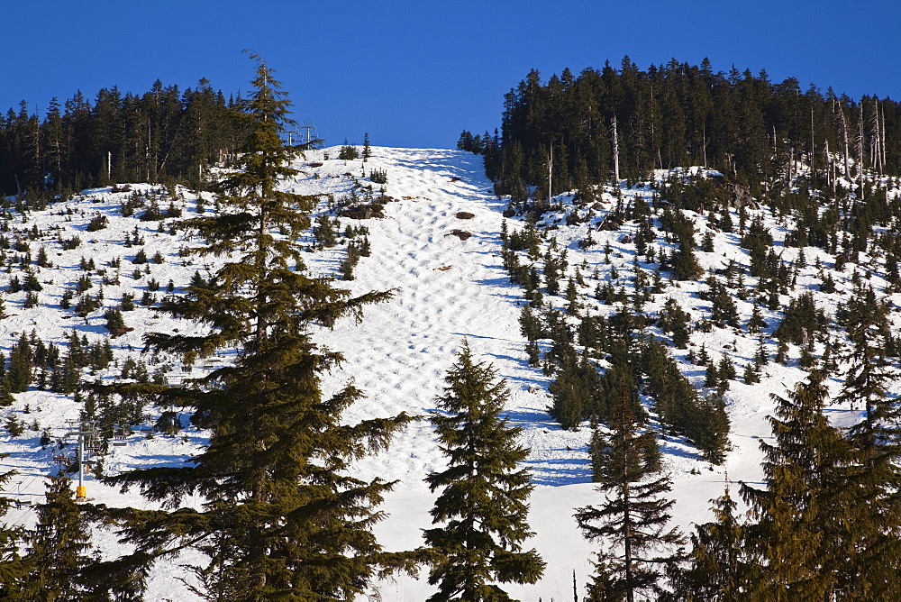 Cypress Mountain, 2010 Olympic Venue, West Vancouver, British Columbia