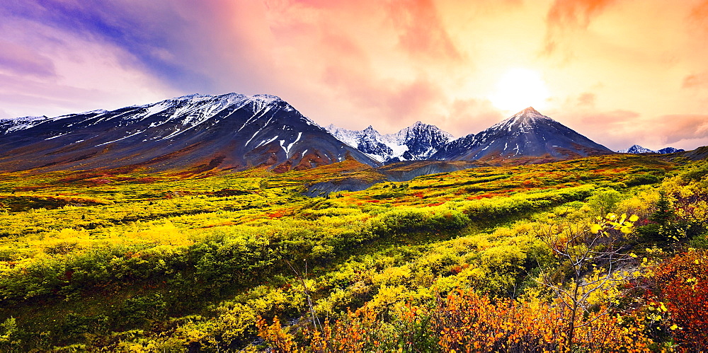 Fall colours and Auriol Range at sunset, Kluane National Park, Yukon