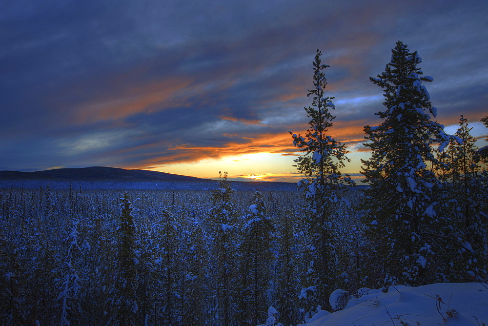 Sunrise over forest near Watson Lake, Yukon