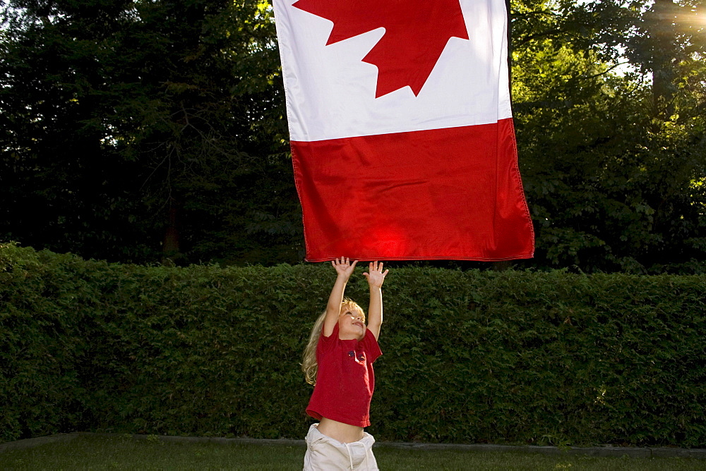Little boy reaching for a Canadian flag, Toronto, Ontario