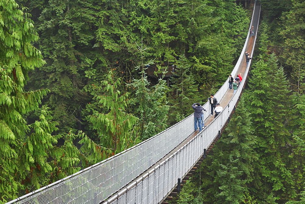 The Capilano Suspension Bridge, Vancouver, British Columbia