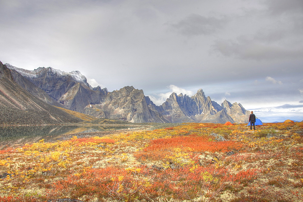 Man camping in autumn at Talus Lake with Tombstone Mountain in background, Yukon