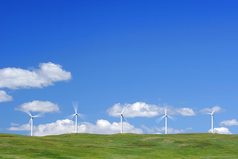 Wind turbine farm, Pincher Creek, Alberta