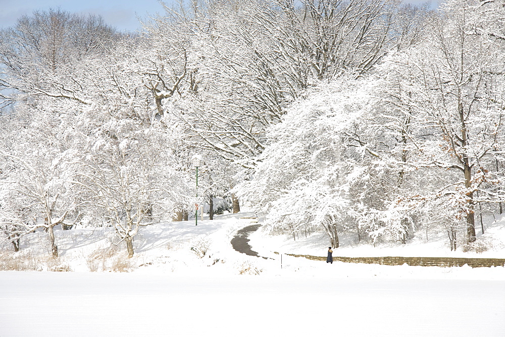 Woman Walking down a Path in Winter, High Park, Toronto, Ontario