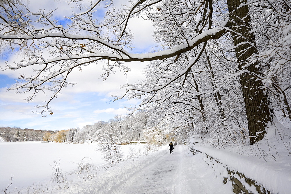 Woman Walking down a Path in Winter, High Park, Toronto, Ontario
