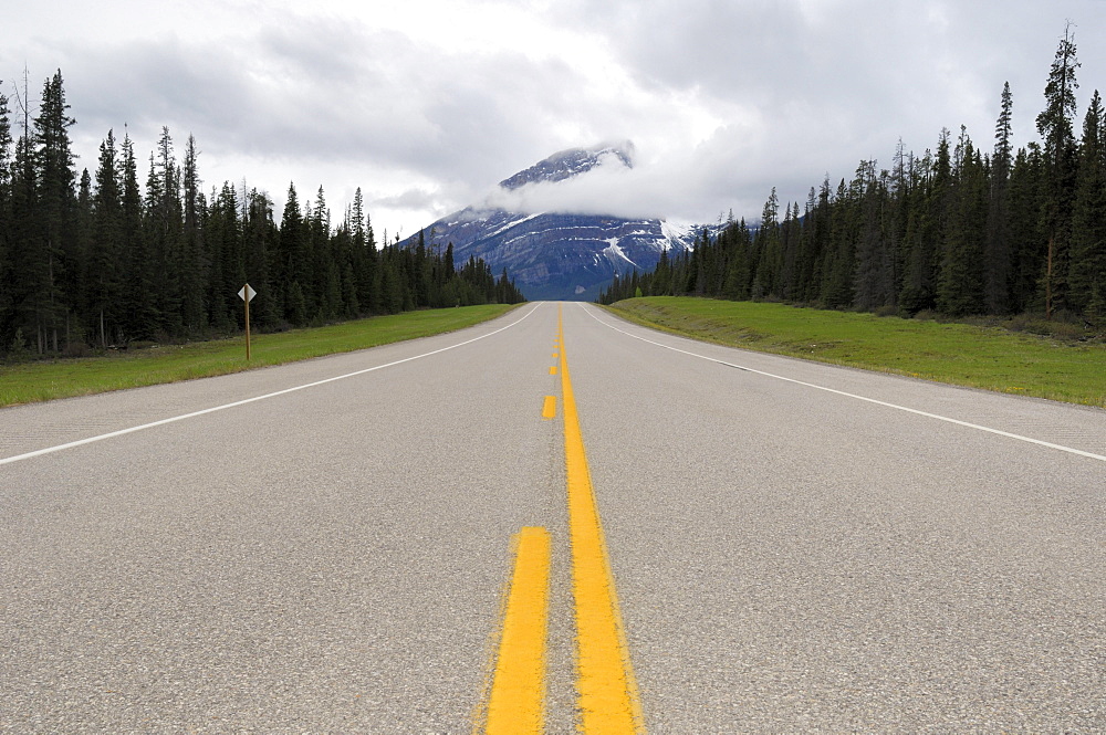 Highway 11 near Saskatchewan River Crossing with the Canadian Rocky Mountains in the background, Banff National Park, Alberta