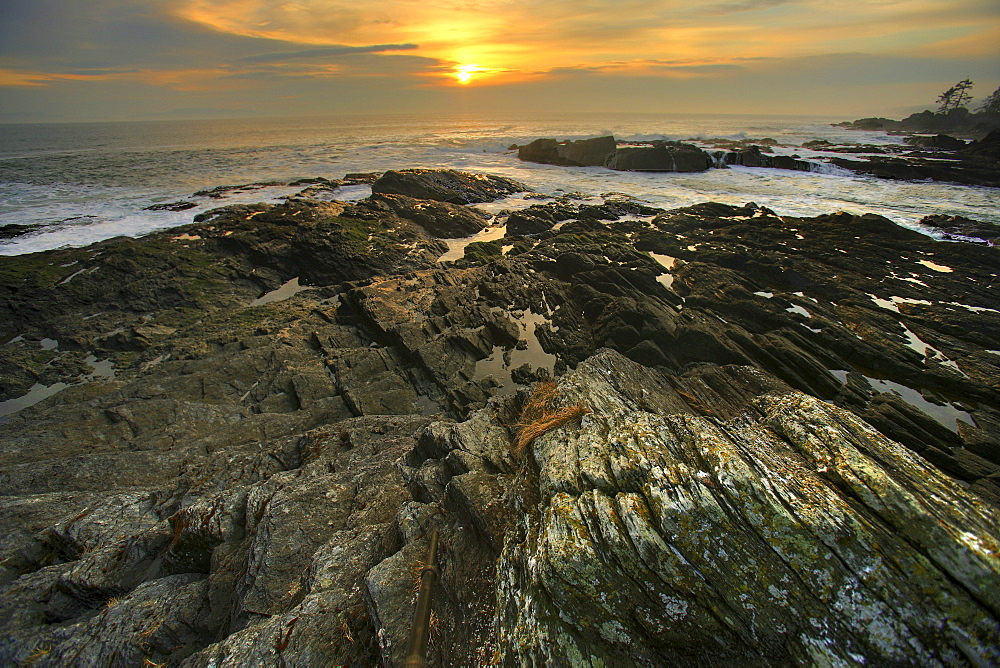 Sunset over Botany Bay, near Port Renfrew, British Columbia