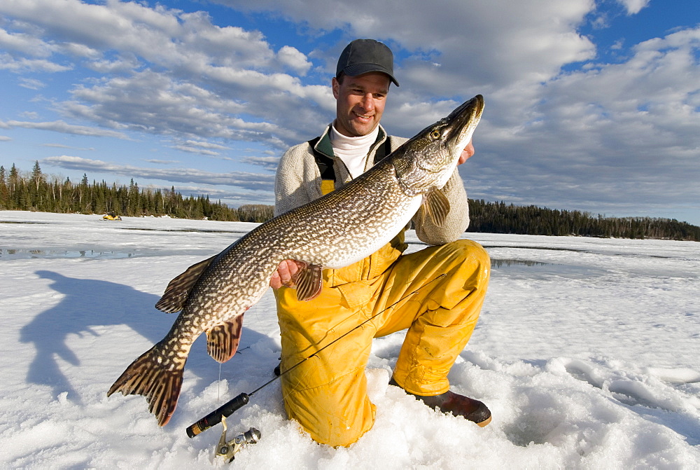 Man Ice Fishing holding a Northern Pike, Wawa, Ontario