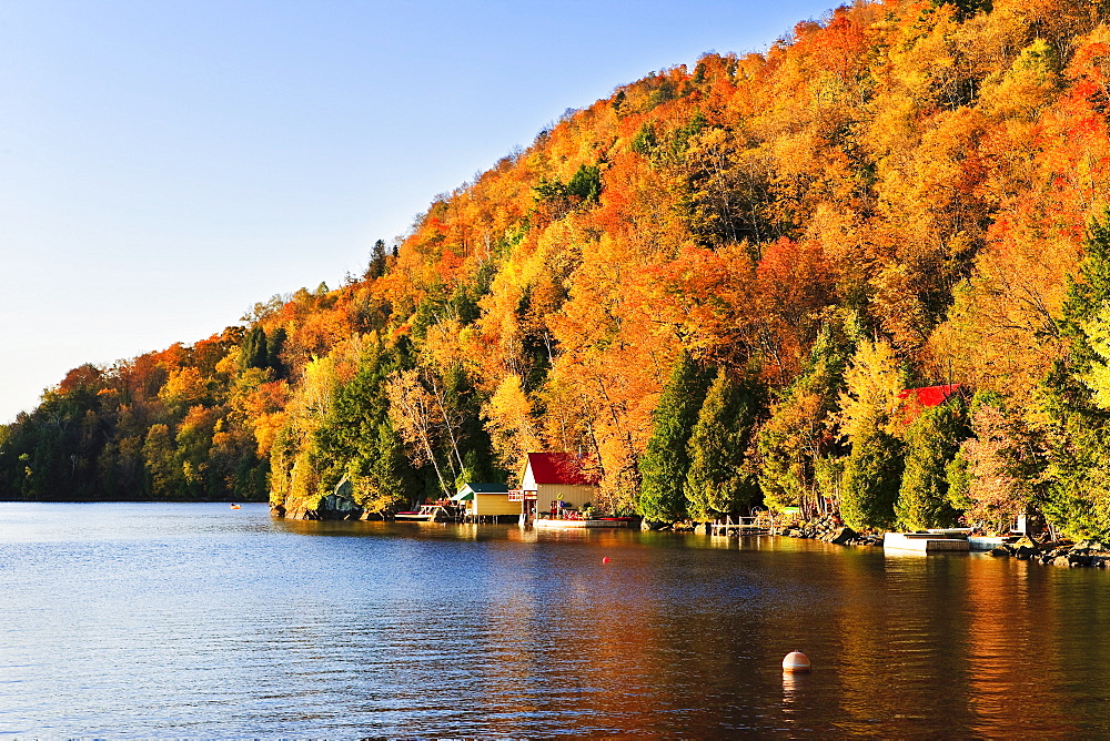 Cottage and fall colours at Memphremagog Lake at sunrise, Eastern Townships, Quebec