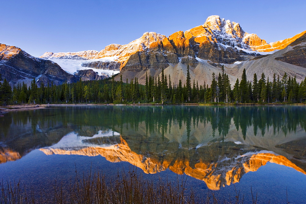 Bow Lake and Crowfoot Mountain at sunrise, Banff National Park, Alberta