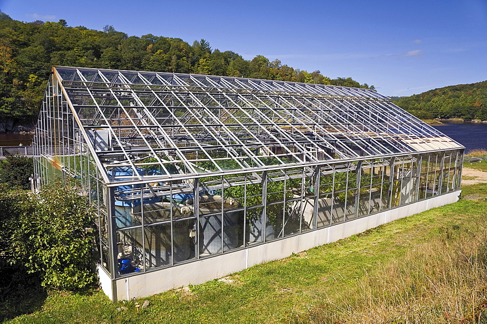 Bear River Solar Aquatics Wastewater Treatment Facility, uses green technology to turn waste water into fresh water. Bear River, Nova Scotia