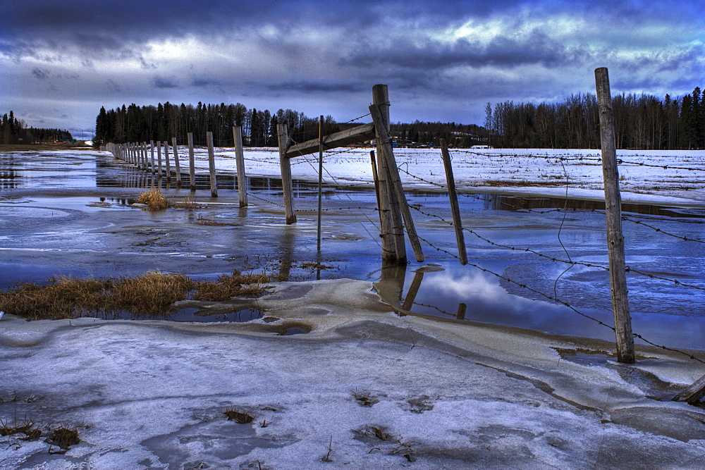 Fence Line in Spring with Melting Snow, Leduc, Alberta