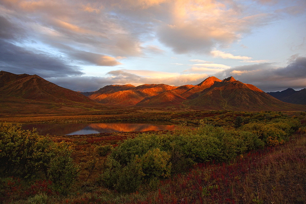 Morning sunlight lighting up Mount Adney and fall colours along the Dempster Highway, Yukon