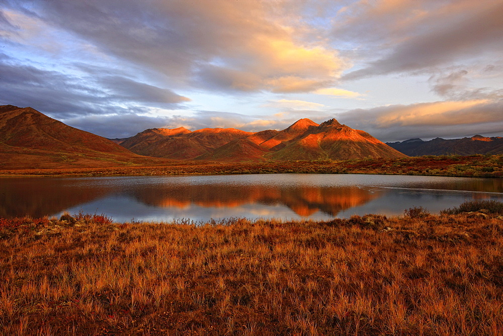 Morning sunlight on Fall colours and Mount Adney reflected into a small pond along the Dempster Highway, Yukon