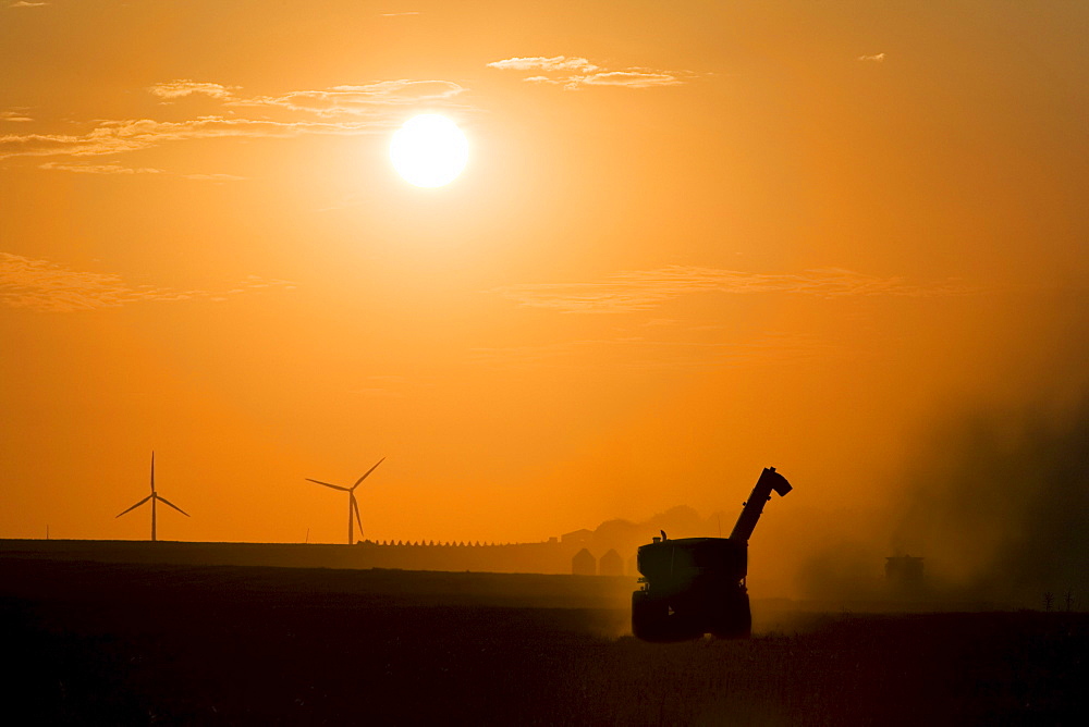 A combine working the fields during the fall harvest at sunset with wind turbines of the St. Leon windfarm in the distance, St. Leon, Manitoba