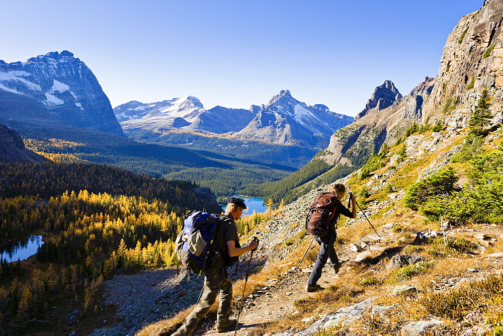 Hikers in the Opabin Plateau with Lake O'Hara in the background, Yoho National Park, British Columbia