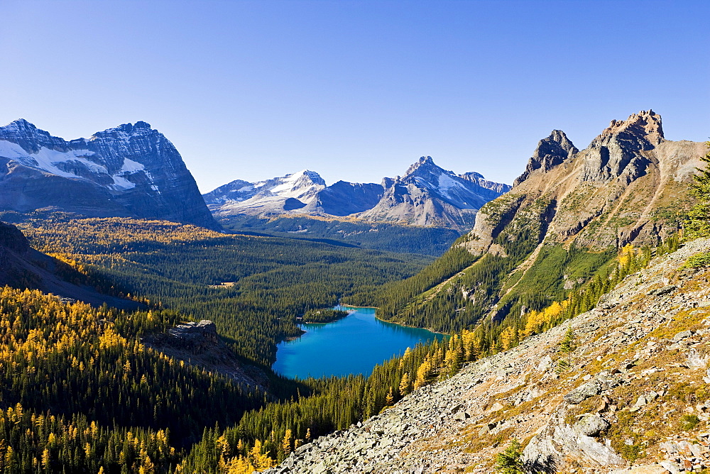 Opabin Plateau and Lake O'Hara, Yoho National Park, British Columbia