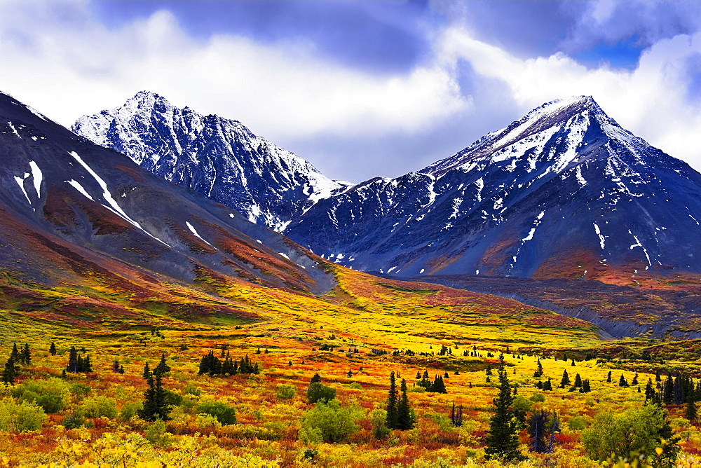 Fall colours and Auriol Range, Kluane National Park, Yukon