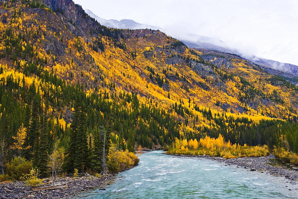 Toad River, mountain and fall colours, Muncho Lake Provincial Park, Northern British Columbia