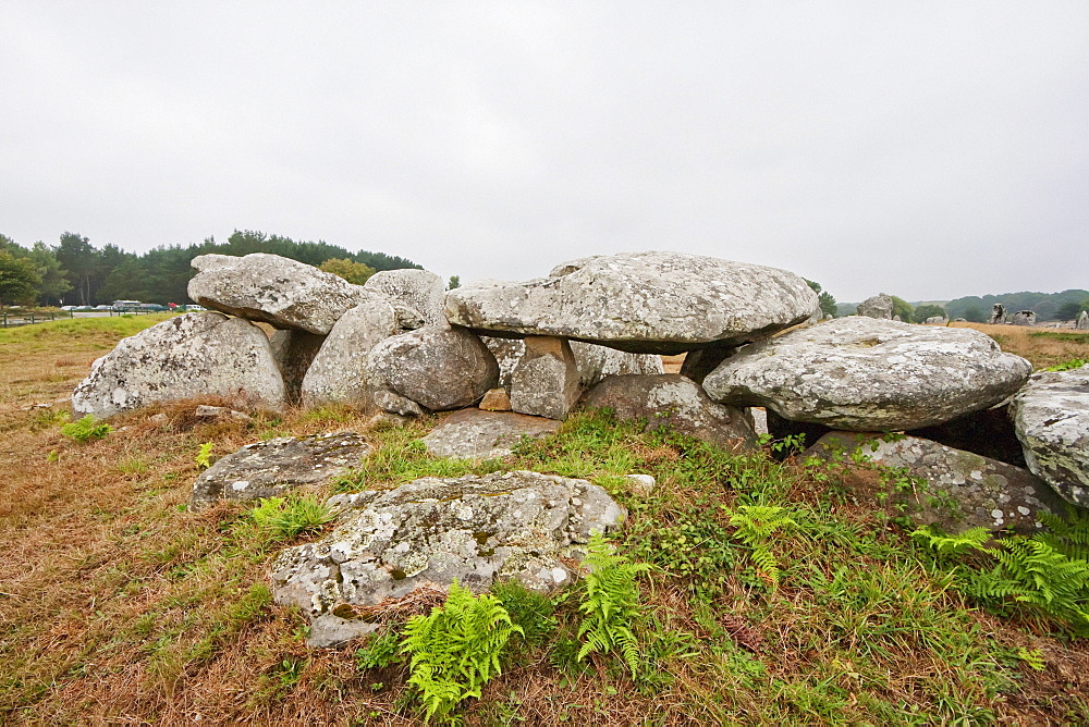 Dolmen by the Kermario alignments, Carnac, Morbihan, France