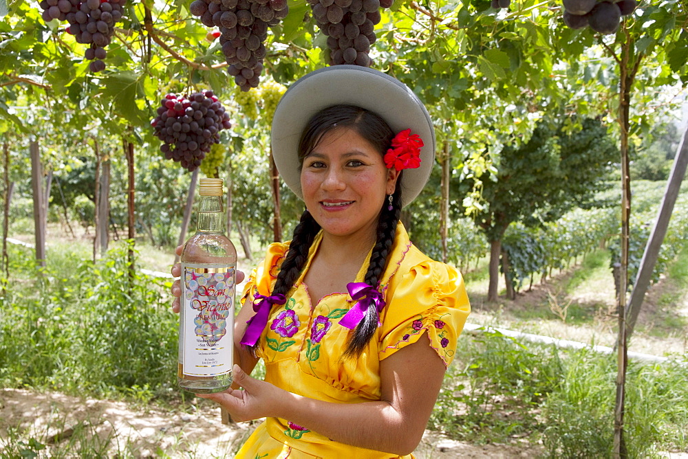 Chapaca holding a bottle of Singani in a vineyard of Calamuchita, Tarija, Bolivia