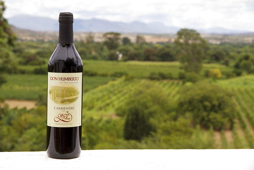Don Humberto Carmenere wine bottle, Calamuchita, Tarija, Bolivia