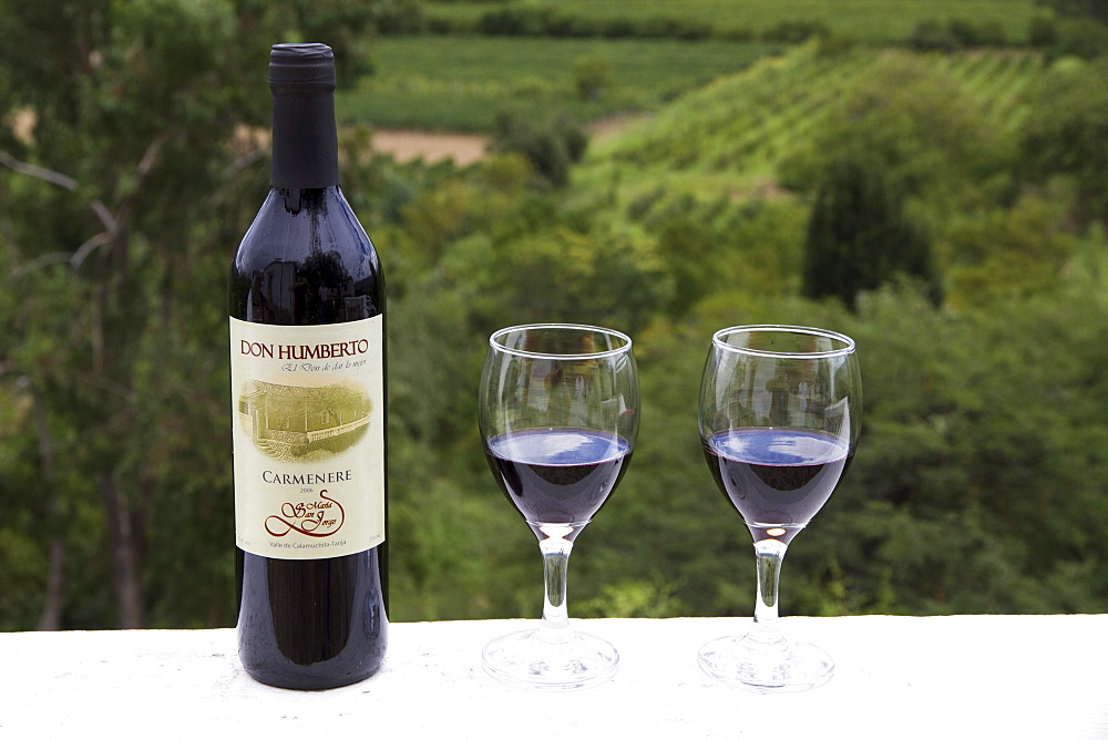 Don Humberto Carmenere wine bottle and glasses, Calamuchita, Tarija, Bolivia