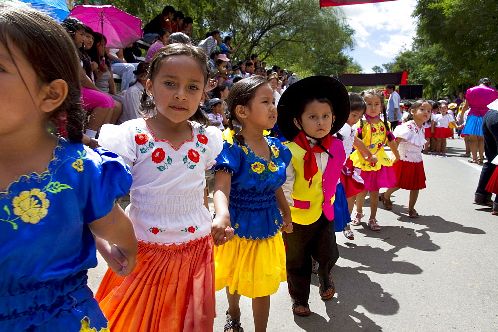 In The Entrada De Comadritas Parade During The Carnaval Chapaco, Tarija, Bolivia