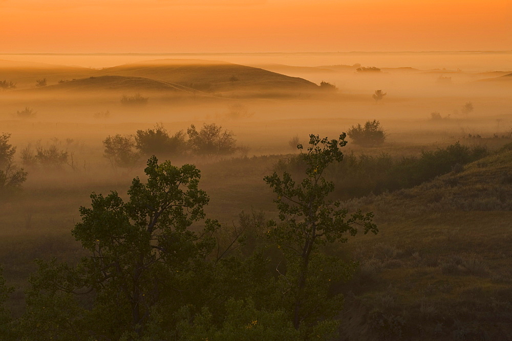 The Great Sandhills, near Sceptre, Saskatchewan