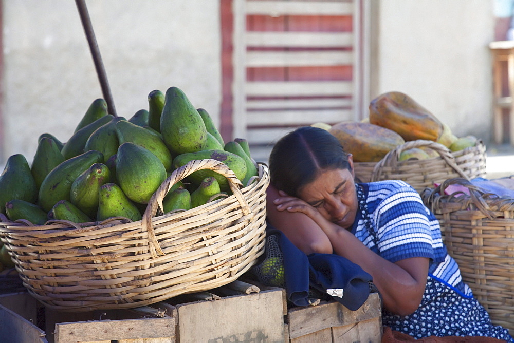 Woman sleeping at her produce stand, Coroico, La Paz Department, Bolivia