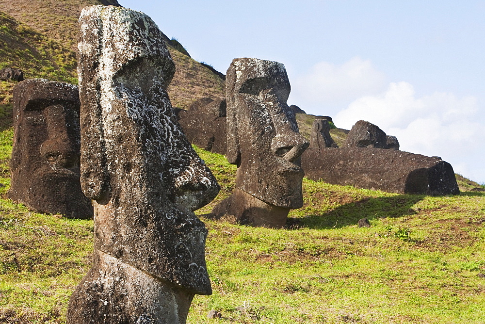 Moais by the quarry on the outer slope of the Rano Raraku Volcano, Rapa Nui (Easter Island), Chile