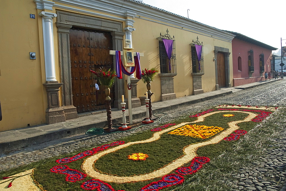 Carpet made of pine needles, flowers, sand & sawdust along the Good Friday processional route. Carpet-making is thought of as a sacrificial act, as the elaborate detail and time that go into the carpet making is a way for people to give something of themselves in memory of the crucifixion of Jesus. These carpets last on average 2 hours before they are destroyed by the many feet that march over them during a procession in Antigua Guatemala., Sacatepuquez, Guatemala