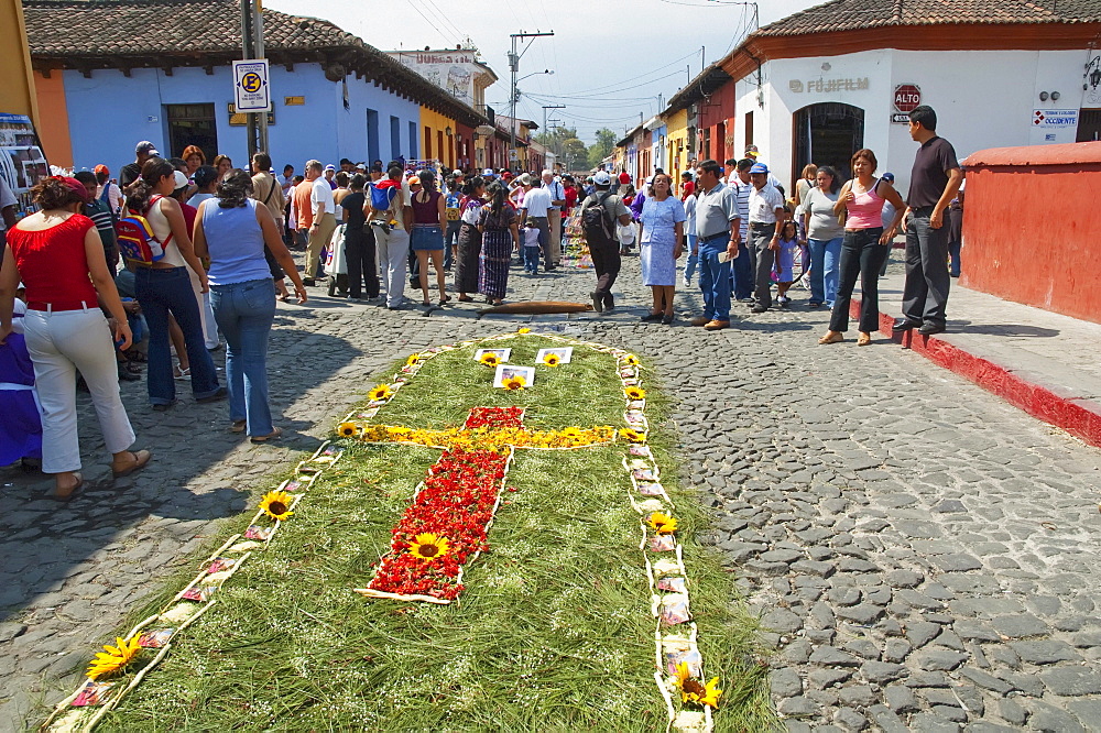 People making a carpet made of flower & pine needles along the Good Friday processional route. Carpet-making is thought of as a sacrificial act, as the elaborate detail and time that go into the carpet making is a way for people to give something of themselves in memory of the crucifixion of Jesus. These carpets last on average 2 hours before they are destroyed by the many feet that march over them during a procession in Antigua Guatemala., Sacatepuquez, Guatemala