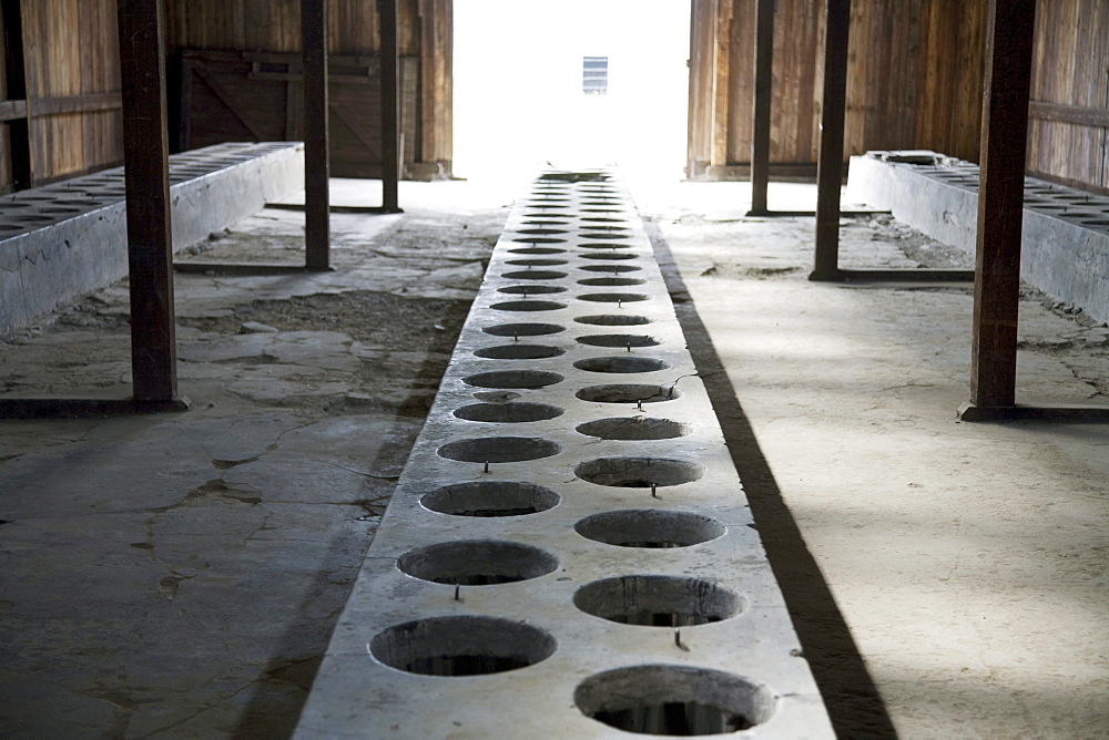 Latrine in one of the medical barracks, Auschwitz-Birkenau Concentration Camp, Oswiecim, Malopolska, Poland