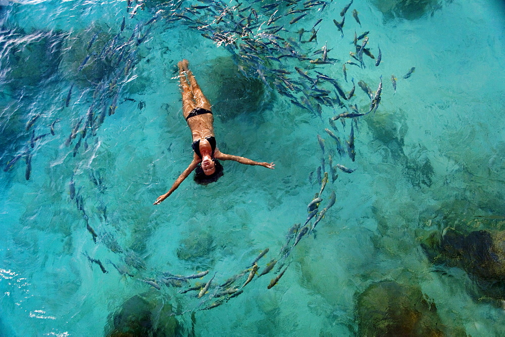 School of fish encircling woman floating in tropical ocean water.