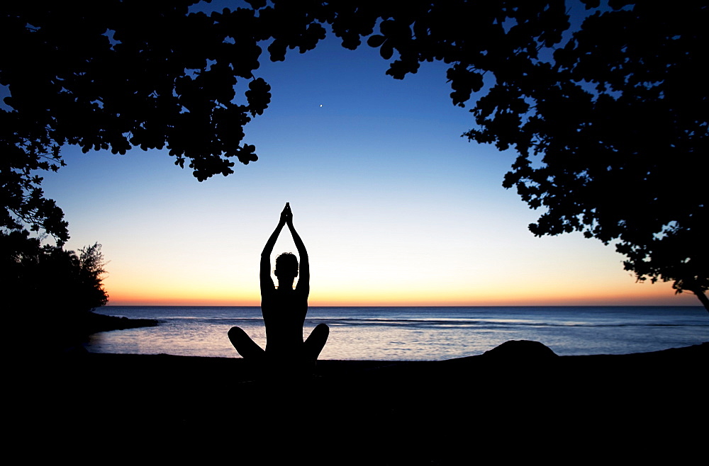 Hawaii, Kauai, Woman meditating along ocean at evening, Tree silhouetted.