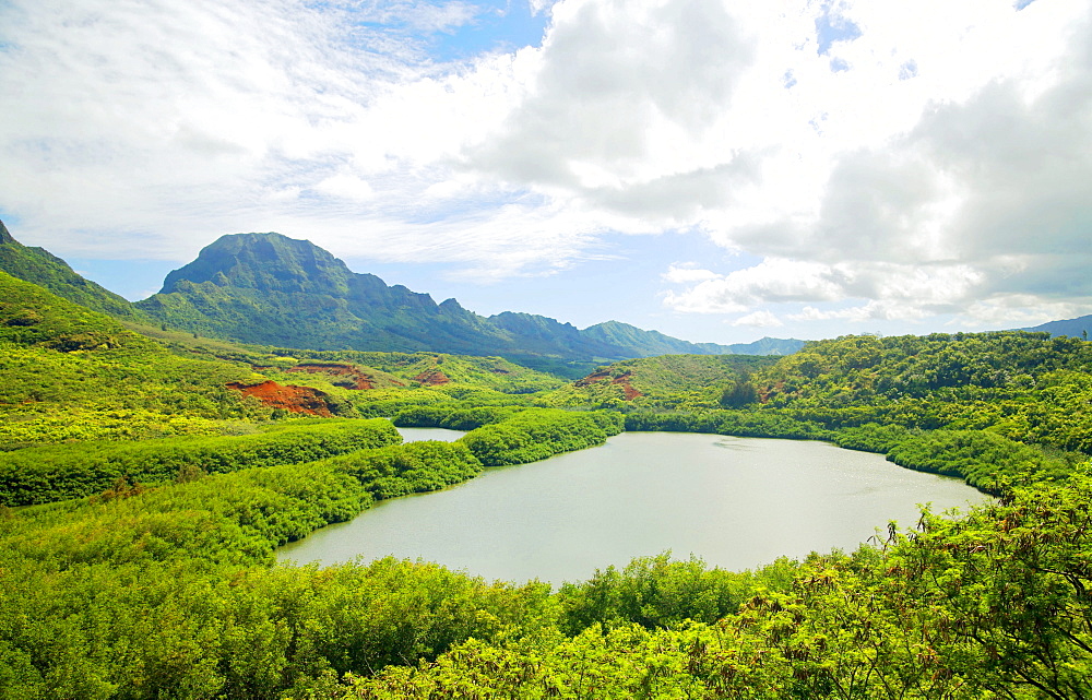 Hawaii, Kauai, Menehune Fish Pond.