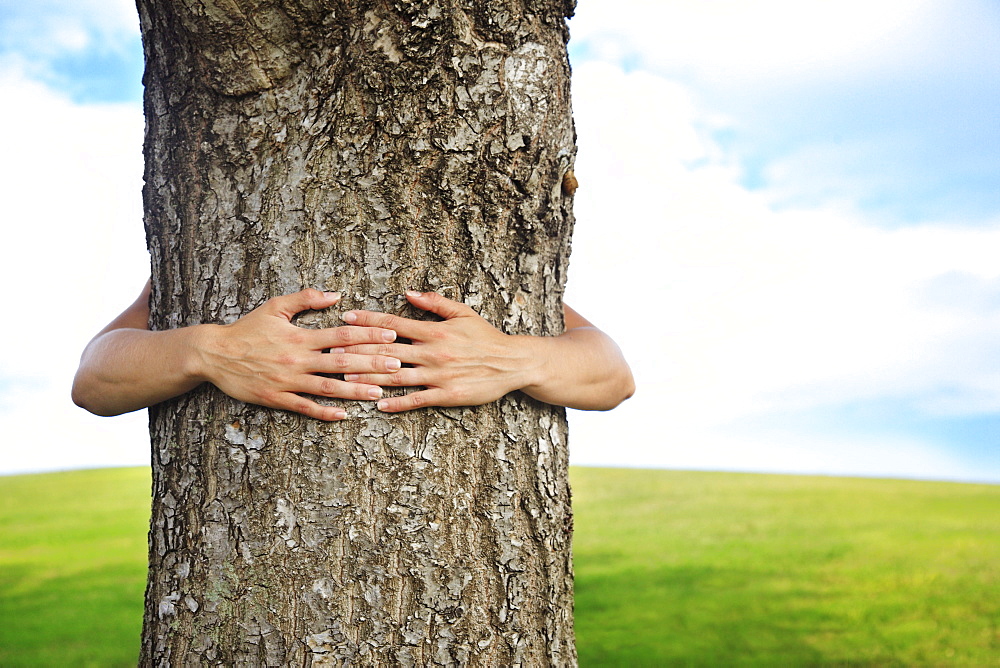 Hawaii, Oahu, Hands around the trunk of a tree.