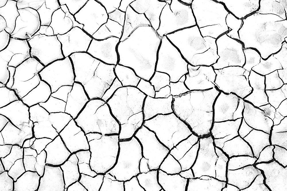 Dry cracked mud.