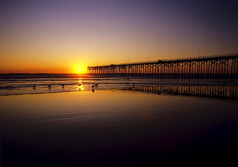 California coast, Silhouetted pier against ocean sunset, Birds along shoreline.