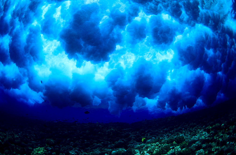 Hawaii, Underwater view of powerful wave breaking over shallow coral reef.