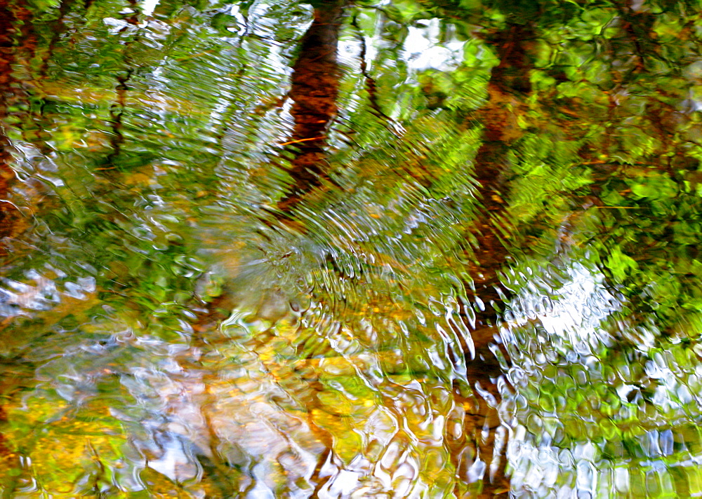 Water Abstract 18, Massachusetts, Seekonk, Caratunk Wildlife Refuge, Ripples and reflections on water surface.