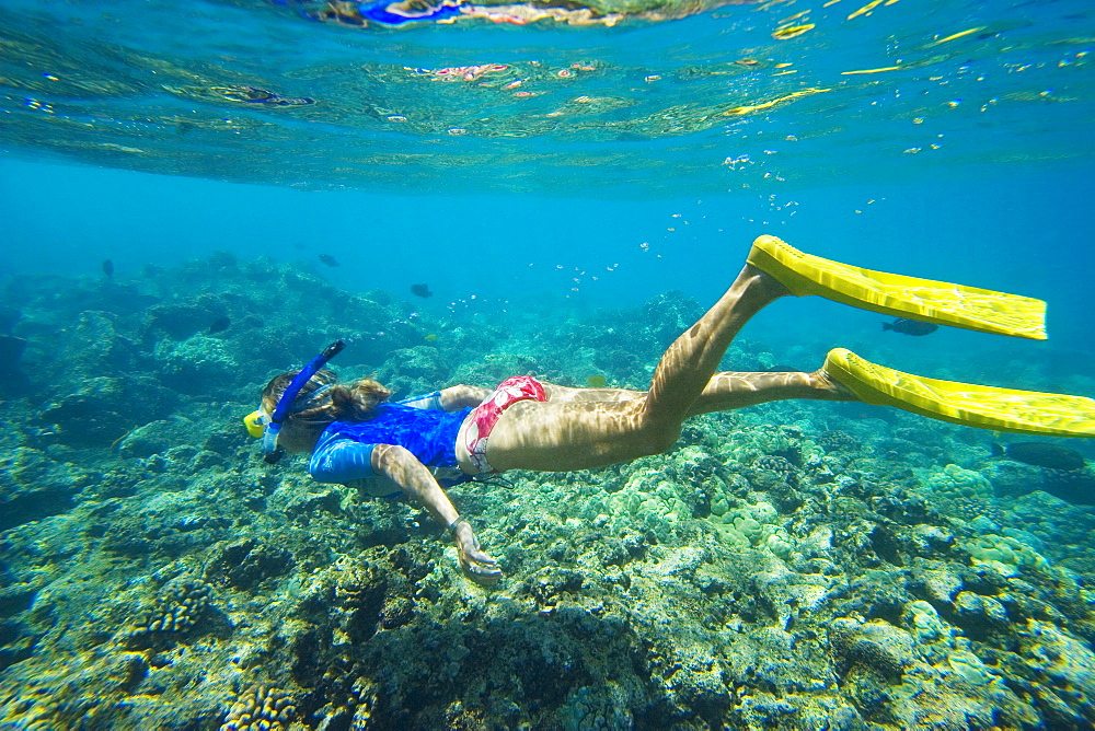 Hawaii, Maui, Makena, Ahihi Kinau Natural Area Reserve, Snorkeler swimming over reef, View from side.