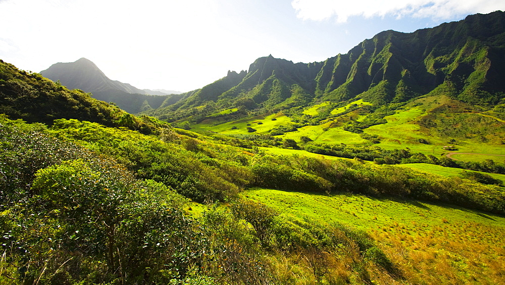 Hawaii, Oahu, View of Kaaawa valley and Kualoa Ranch with the Koolau Mountain range in background.