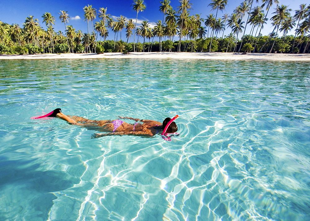 French Polynesia, Moorea, Woman free diving in turquoise ocean.