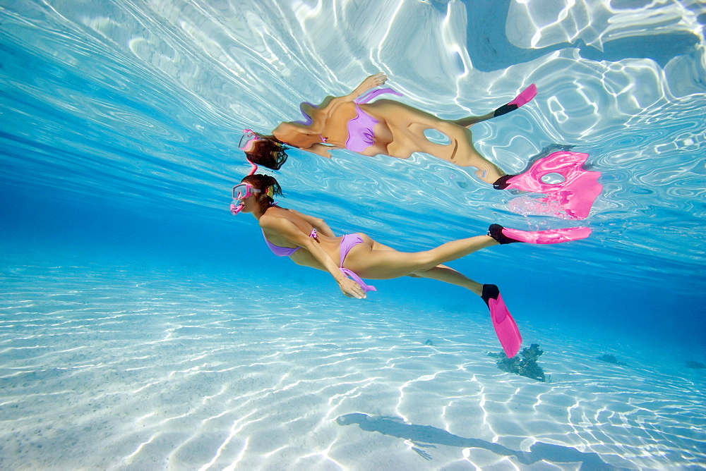 French Polynesia, Moorea, Woman free diving in turquoise ocean.