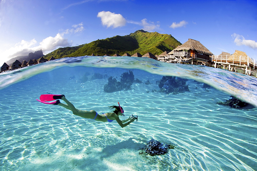 French Polynesia, Moorea, Woman free diving in turquoise ocean.